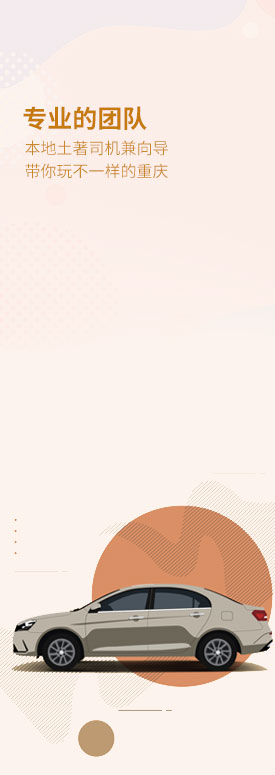 司机兼向导专业团队